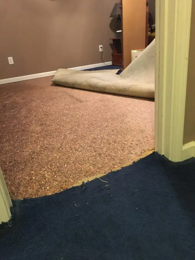 Carpet pad removal revealing water damage during Drying & Dehumidification in Cary